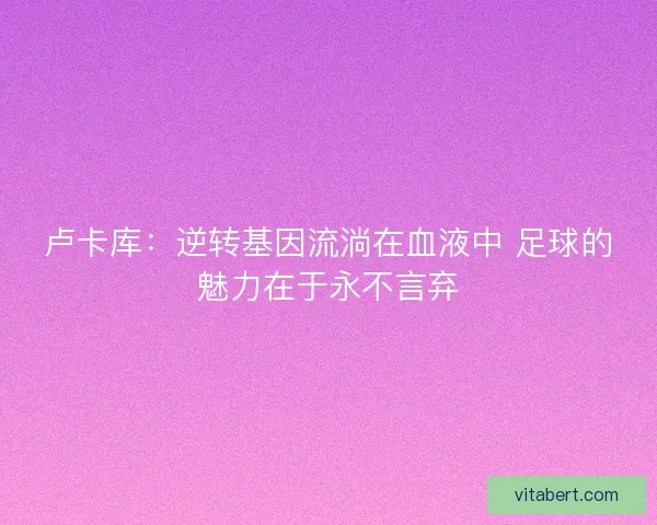 卢卡库：逆转基因流淌在血液中 足球的魅力在于永不言弃