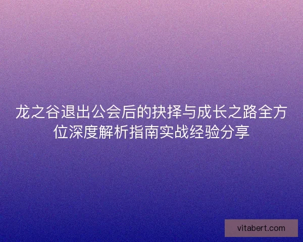 龙之谷退出公会后的抉择与成长之路全方位深度解析指南实战经验分享